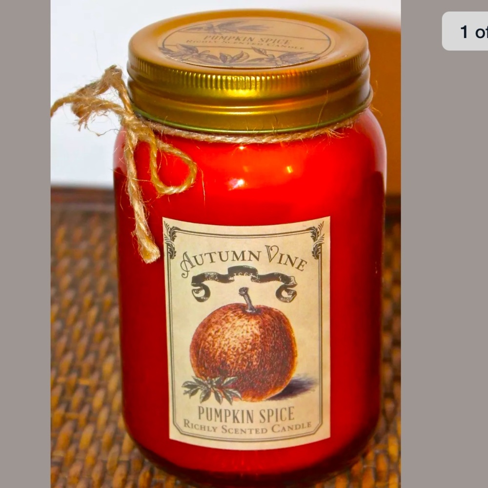 DW HOME PUMPKIN SPICE CANDLE RICHLY SCENTED